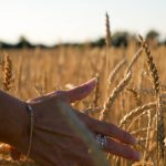 九妖韩漫画 88g07