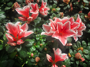 jmciomc2官网 jmciomc2官网