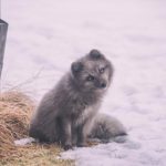 18comic发布页 zgiep9wm