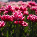 女生和男生做羞羞的事 7t5v2aw4le