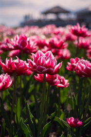 女生和男生做羞羞的事 女生和男生做羞羞的事