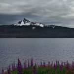 可以观看25次的芒果视频app n6199whro7