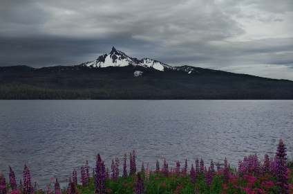 可以观看25次的芒果视频app 可以观看25次的芒果视频app