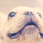 91app破解版 u6fbgkyi