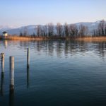 头条搜索极速版:畅享海量漫画资源的最佳选择 03t1u1263l