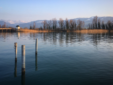 头条搜索极速版:畅享海量漫画资源的最佳选择 头条搜索极速版:畅享海量漫画资源的最佳选择